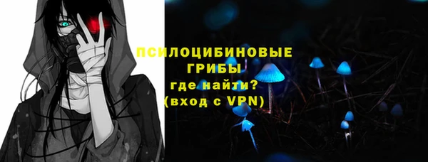 сатива Покровск