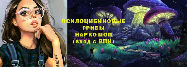 сатива Покровск