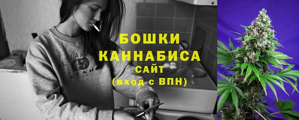 сатива Покровск
