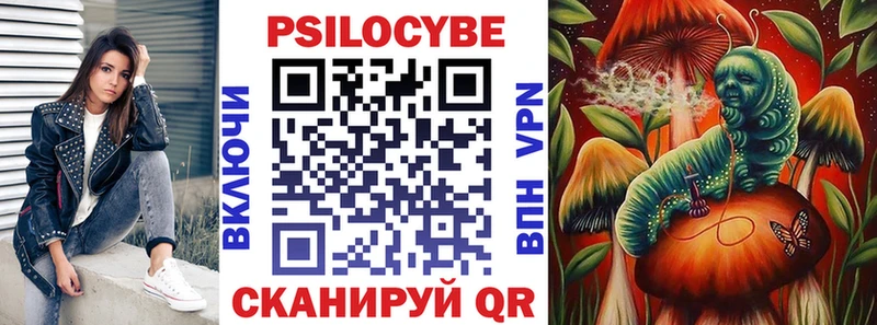 Галлюциногенные грибы Psilocybine cubensis  Тимашёвск 